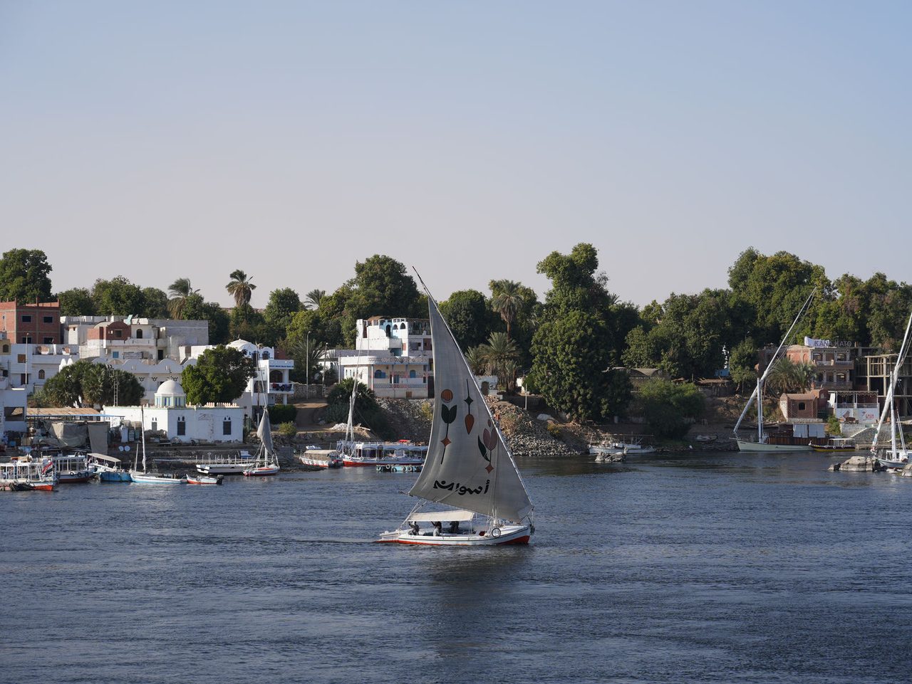 A beautiful traditional felucca spreading its sails on the Nile River