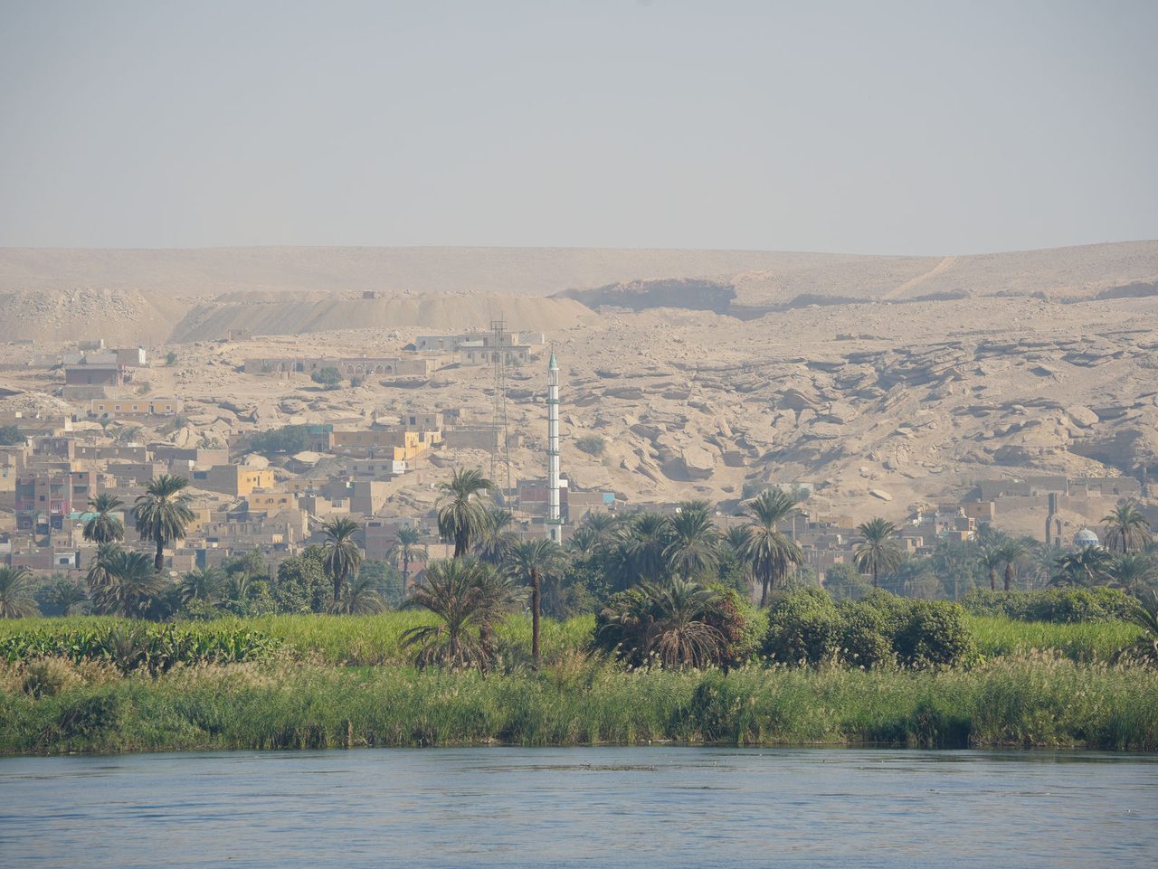 The stunning contrast of lush green palms and rugged desert cliffs along the Nile
