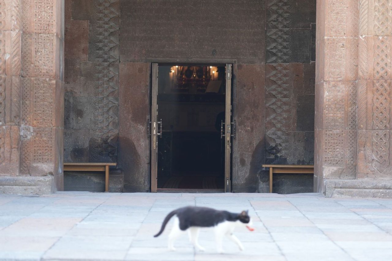 A cathedral cat walking past the entrance