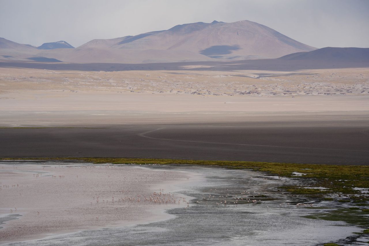 Salar de Pedernales