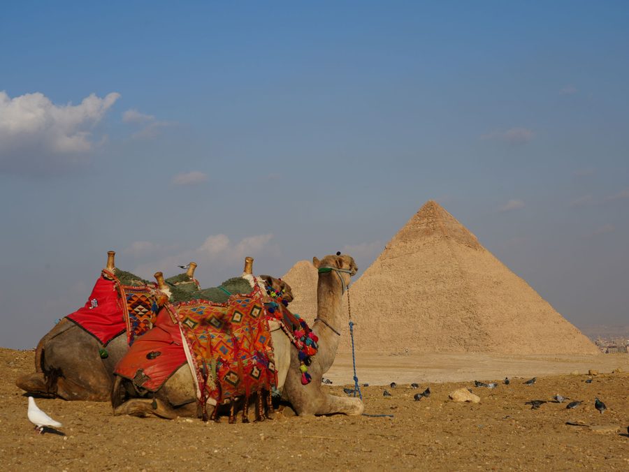 Giza