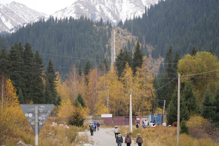 Road to the Lake