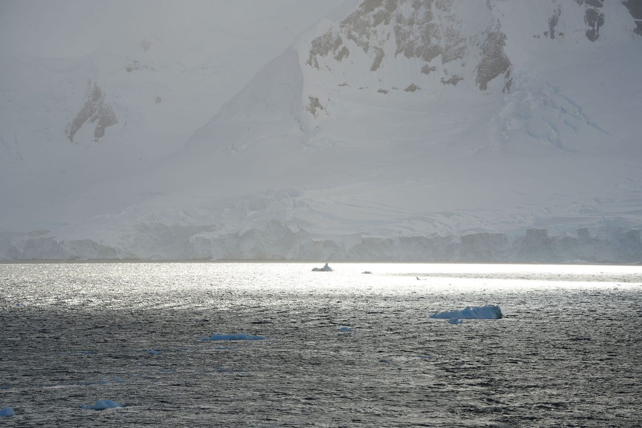 Glacier