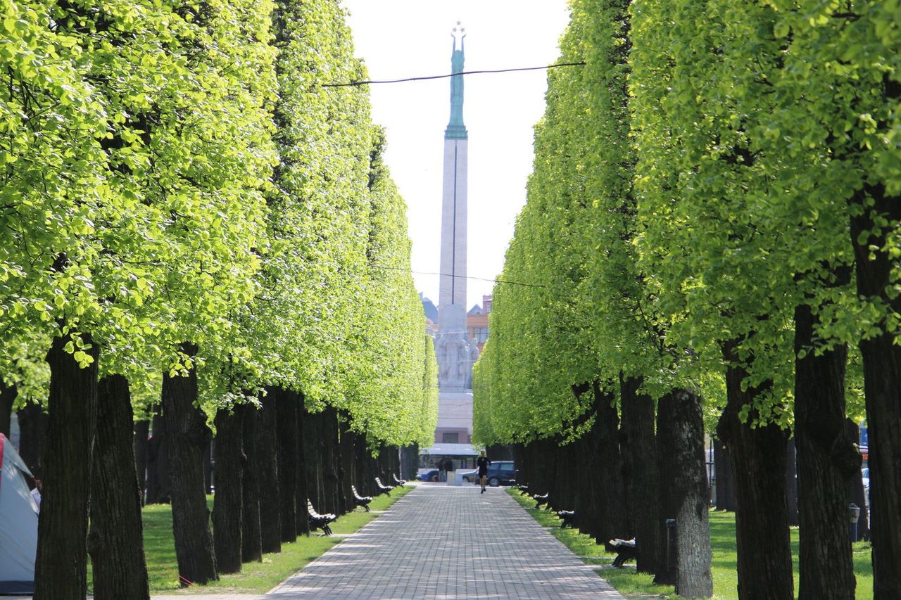 The Freedom Monument