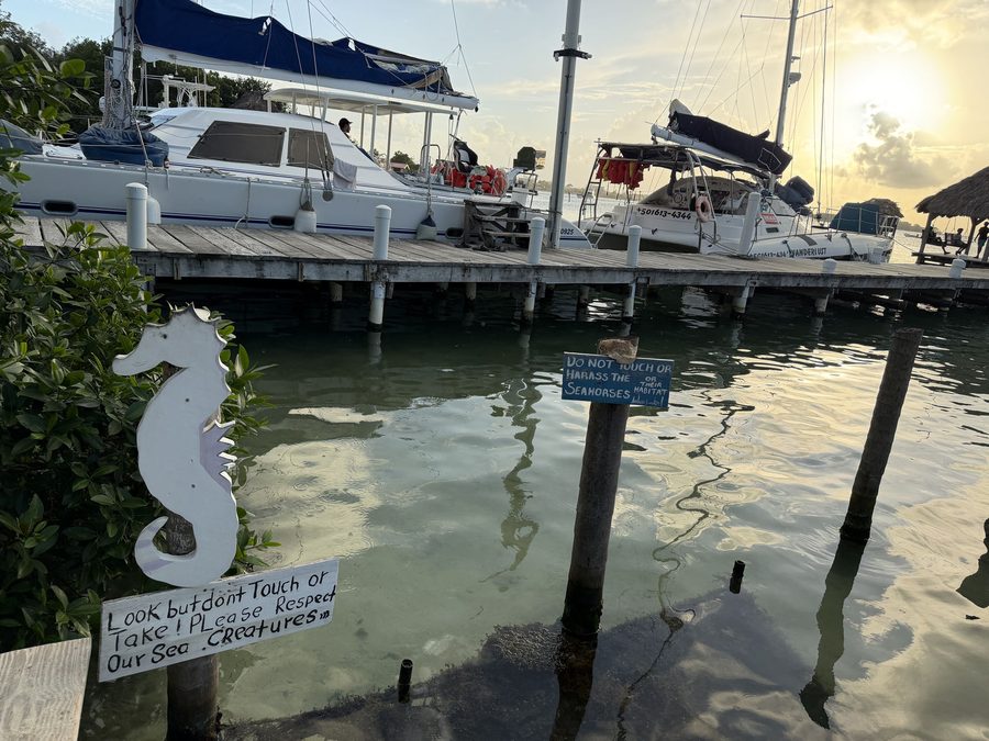 Seahorse Reserve