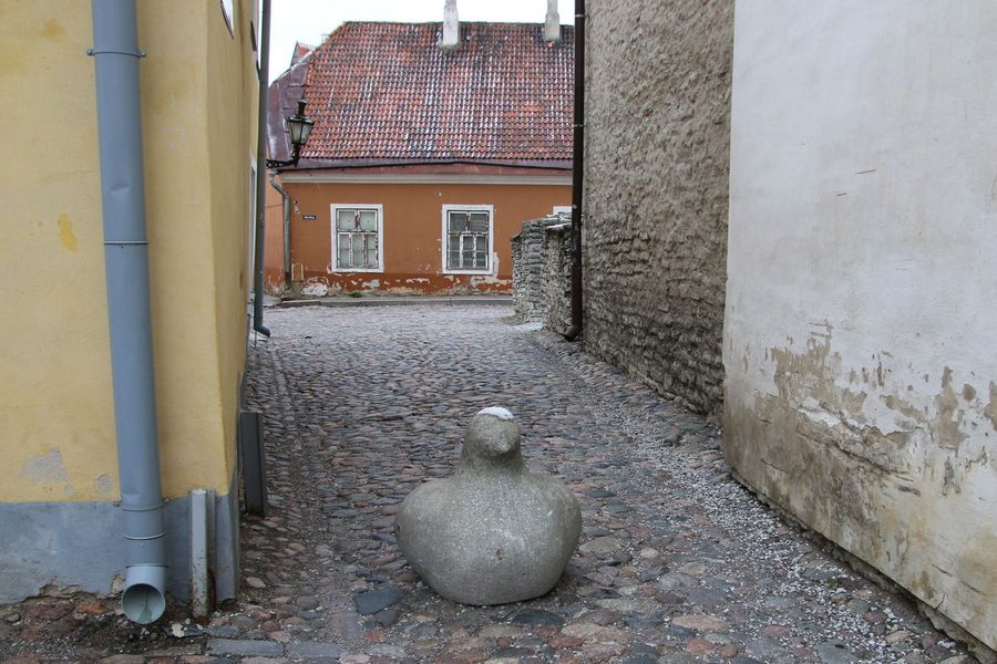 The stone pigeon on the cobblestone street