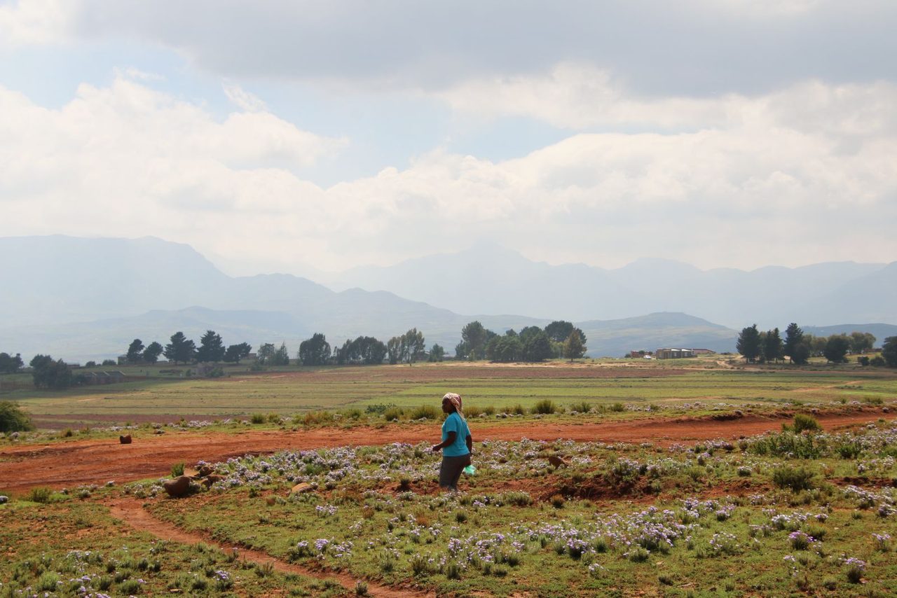 Malealea