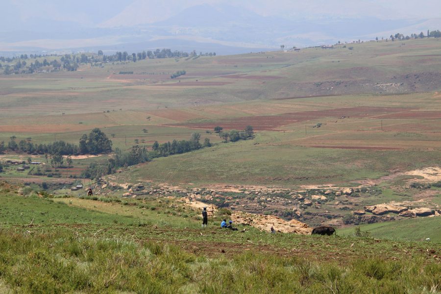 A Highland Valley Landscape