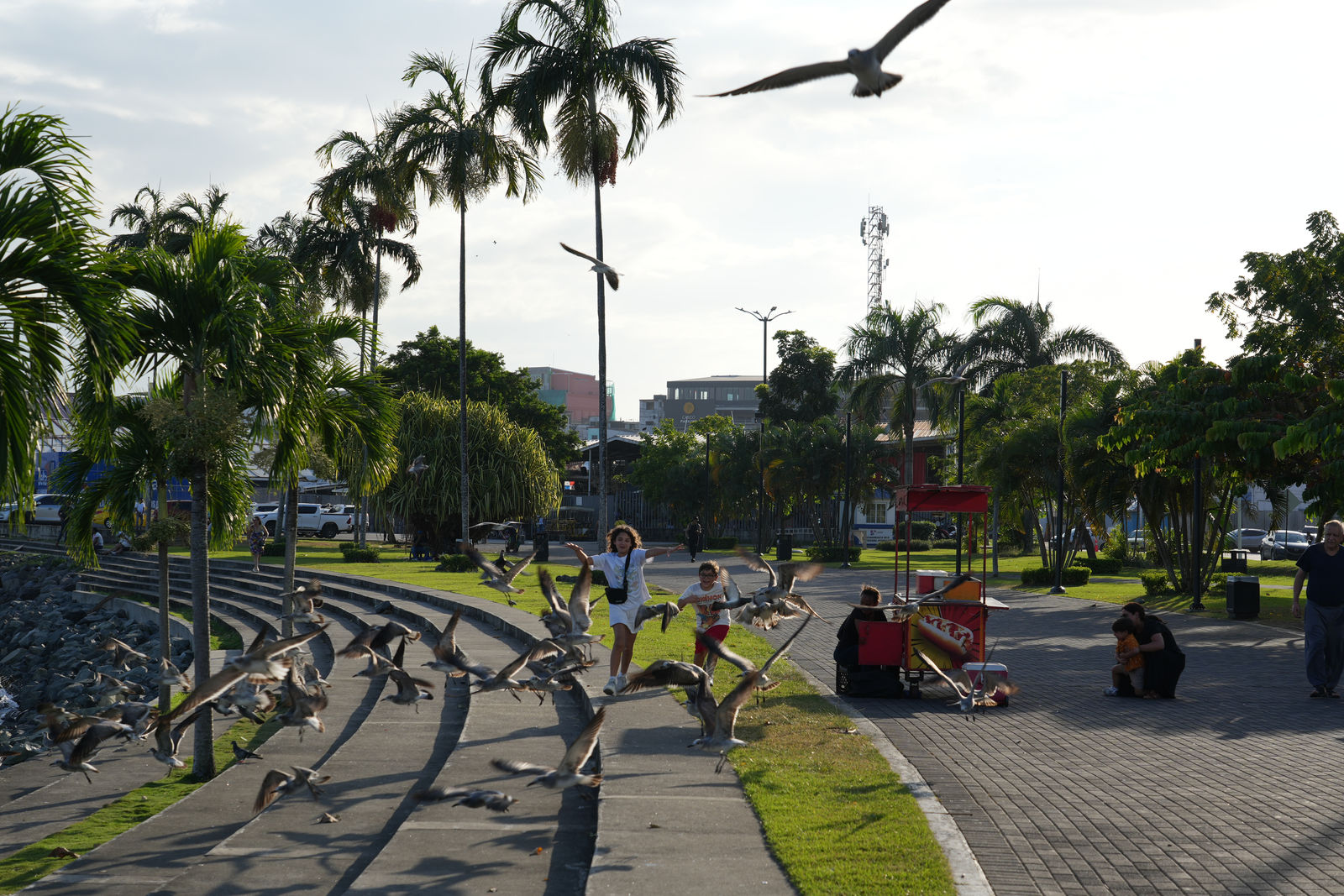 Waterfront Promenade