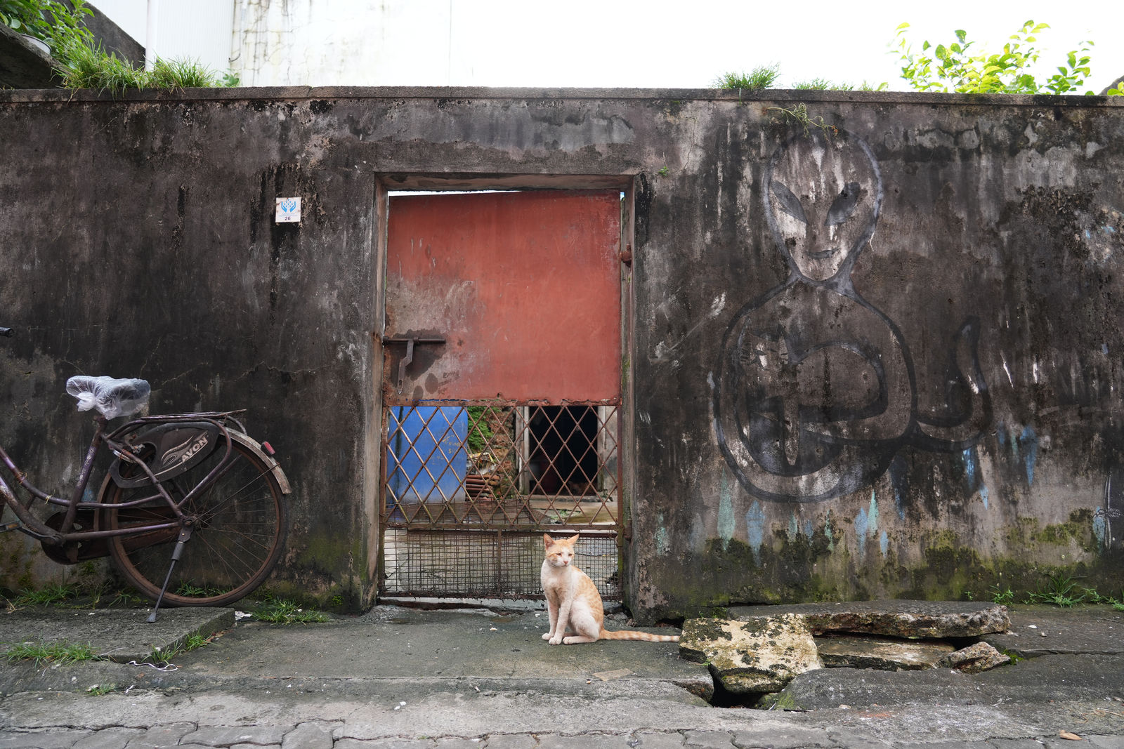 Fort Kochi (A cat sitting by a rusty gate and street art)