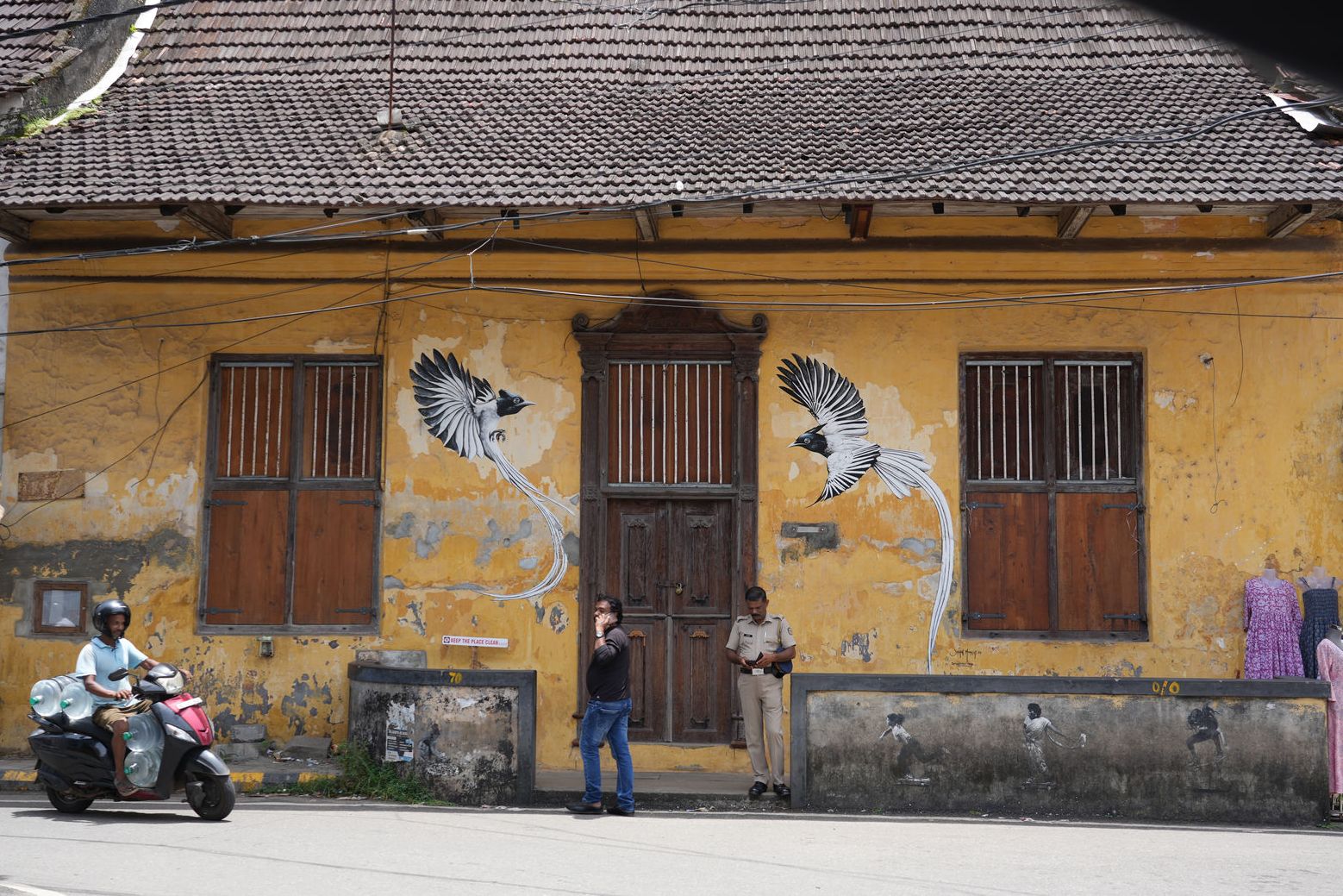 Street art of birds on a yellow colonial wall