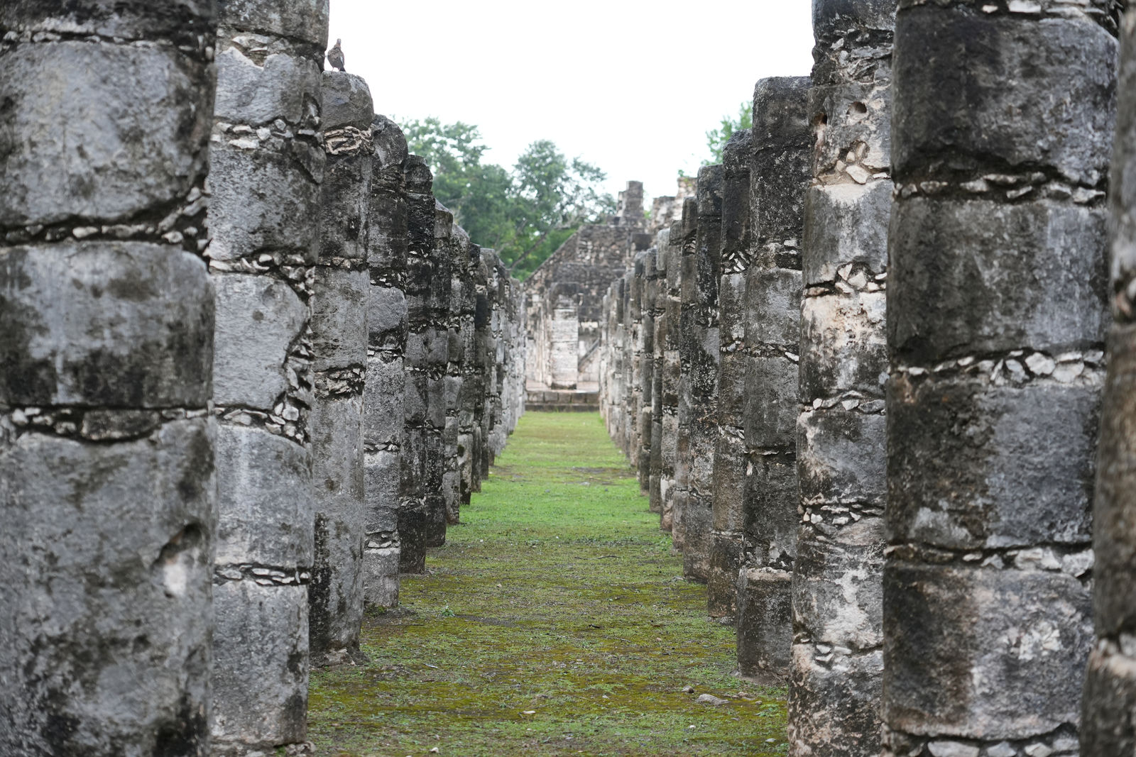 Group of the Thousand Columns