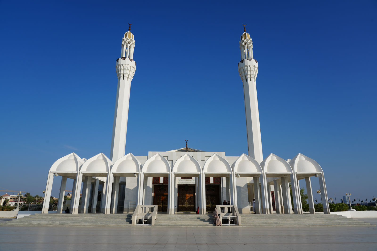 Hassan Enany Mosque