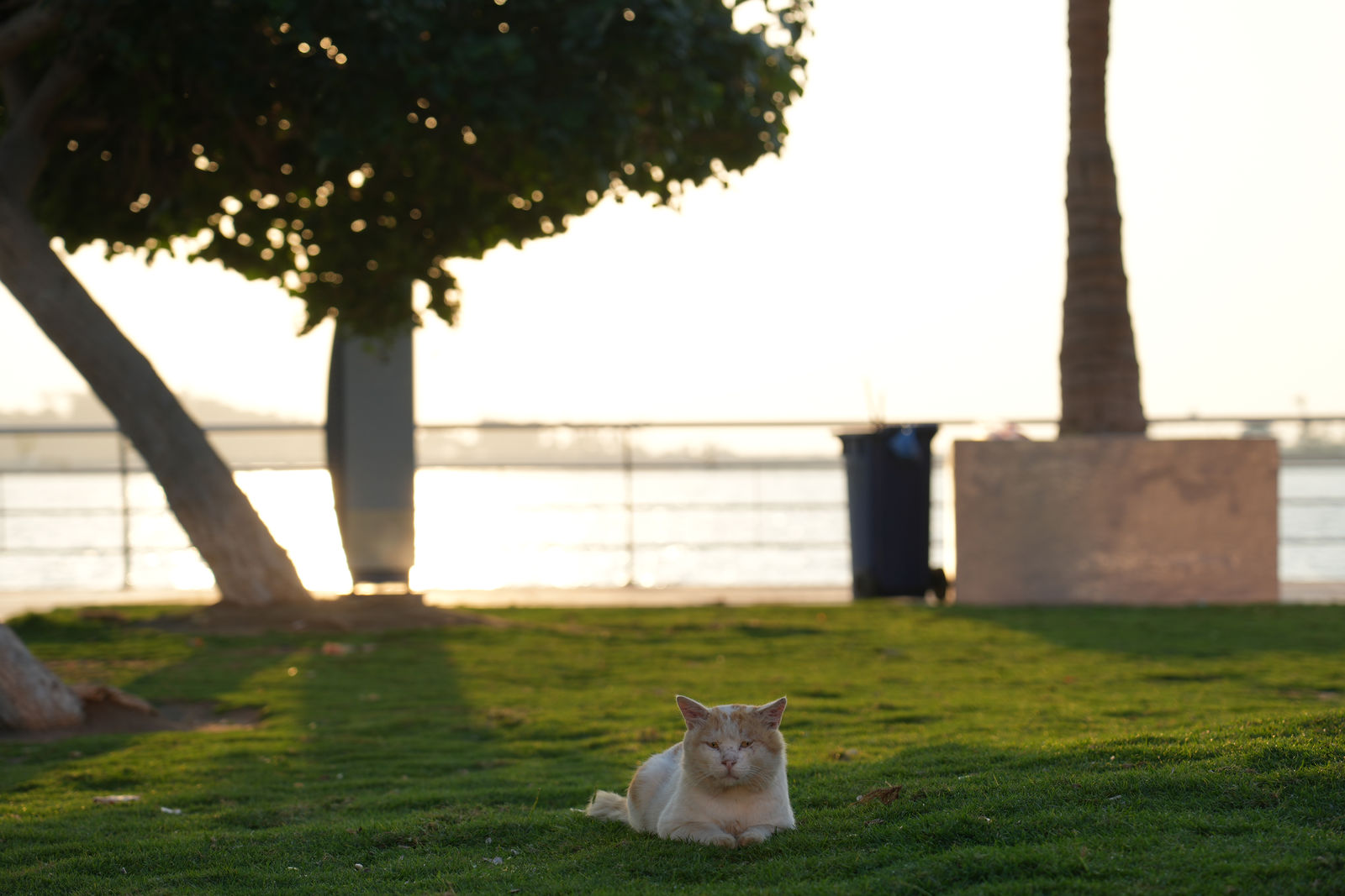 Jeddah Corniche