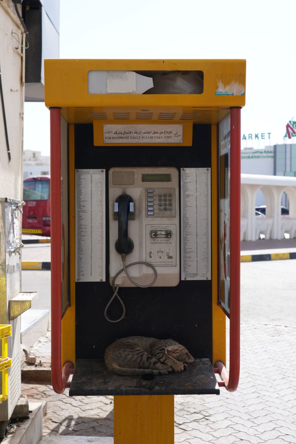 A Sleeping Cat in a Mutrah Payphone