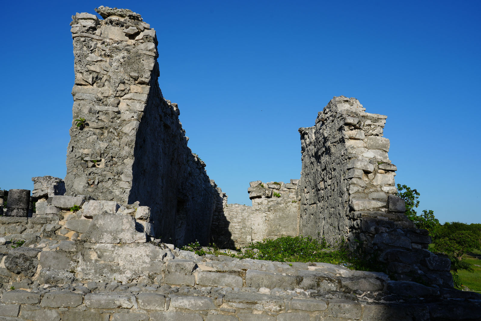 House of the Cenote