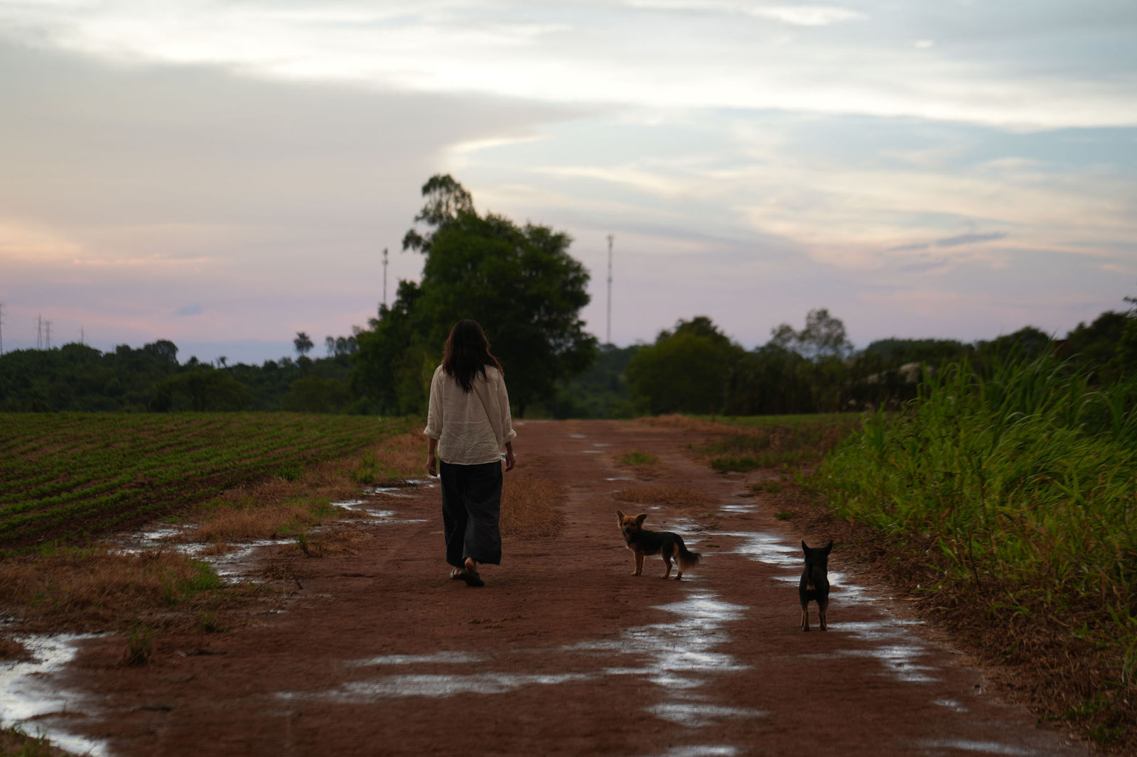 Red Dirt Road