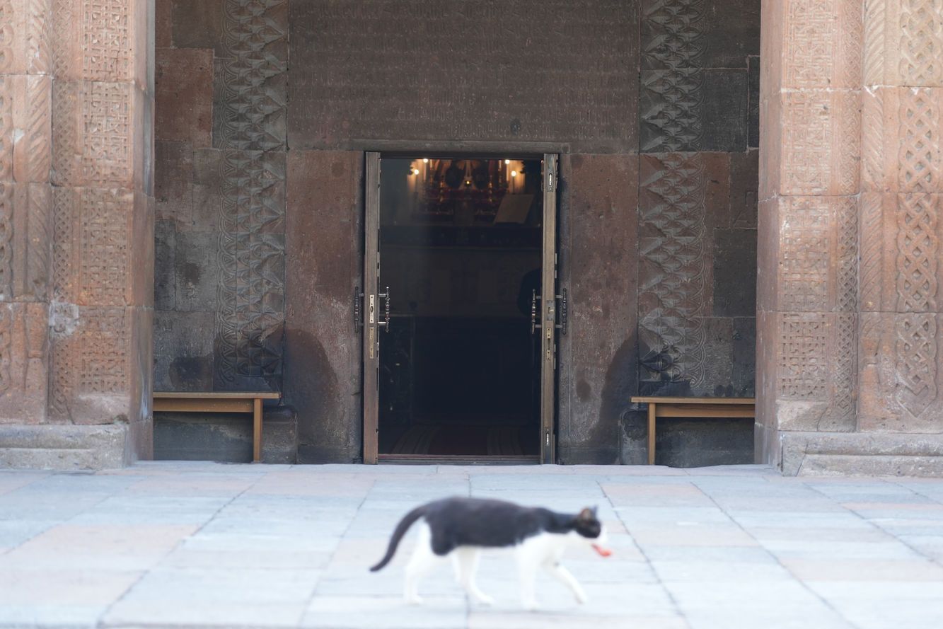 A cathedral cat walking past the entrance