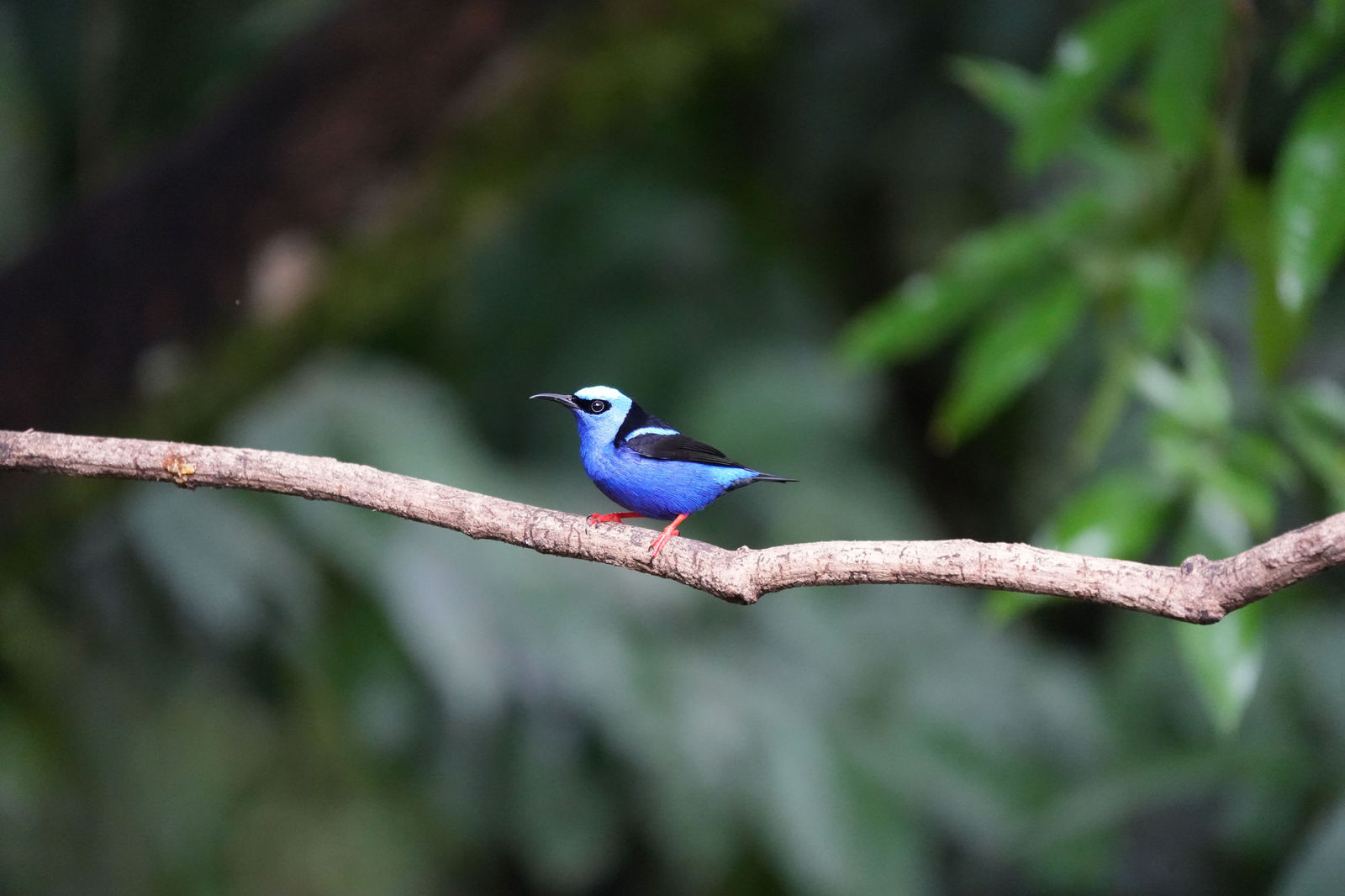 写真(サンプル)— ご自身の作品に差し替えてください