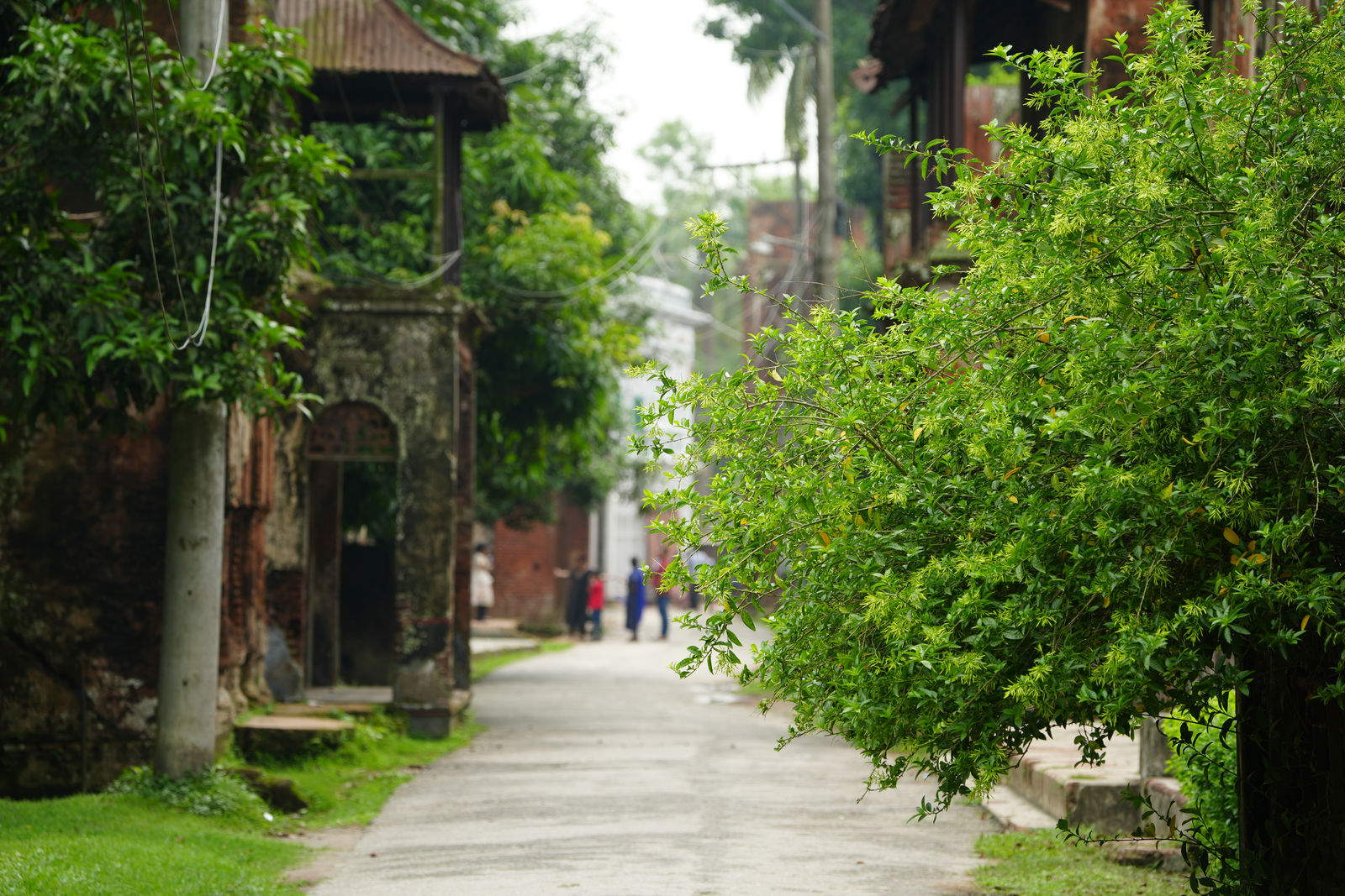 Panam Nagar (Panam City)
