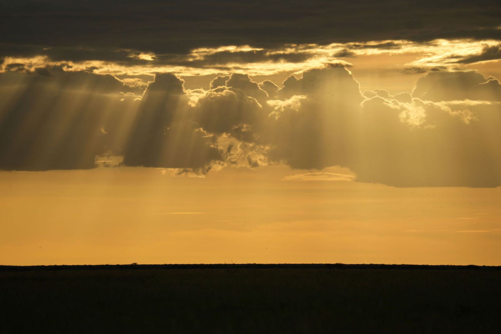 Etosha National Park