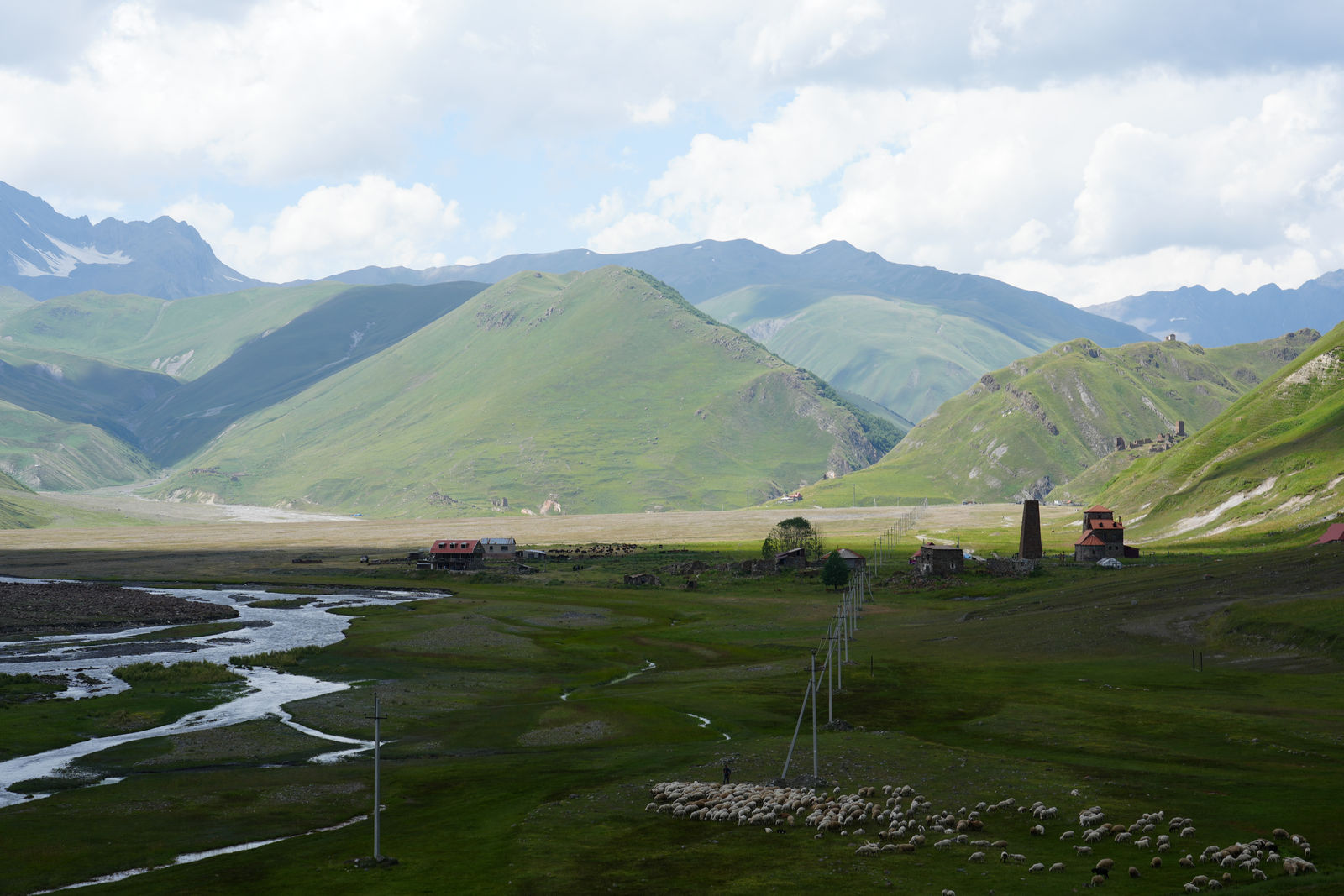 Flock of sheep in Truso Valley
