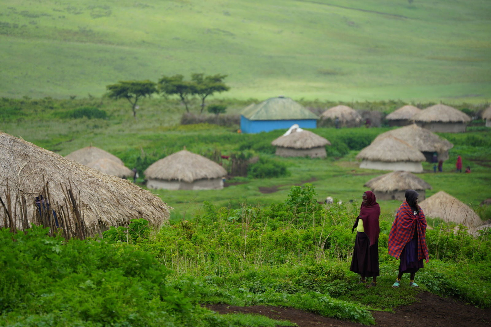 Maasai Boma