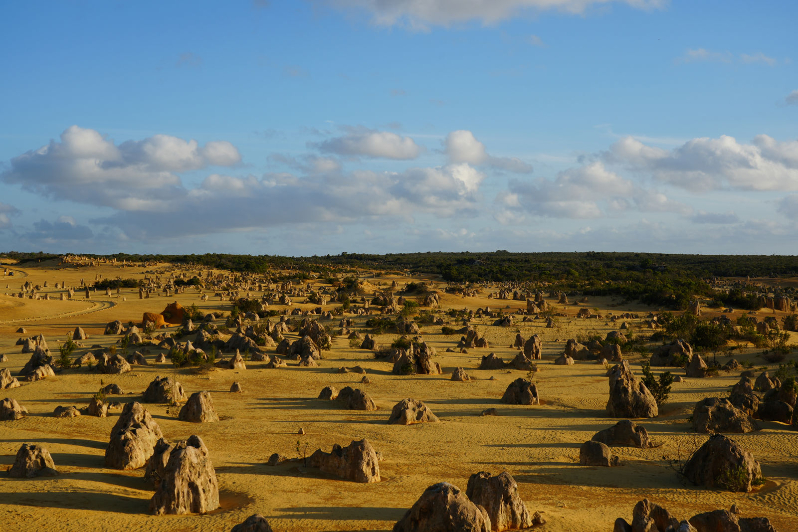 Lancelin / Hangover Bay / The Pinnacles
