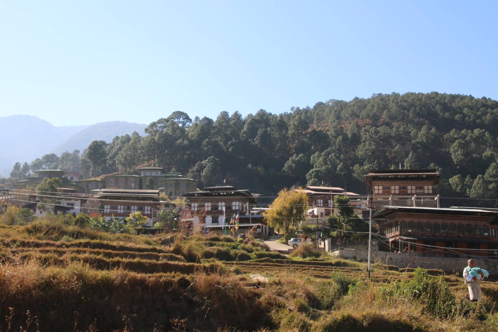 Traditional Bhutanese houses and terraced fields