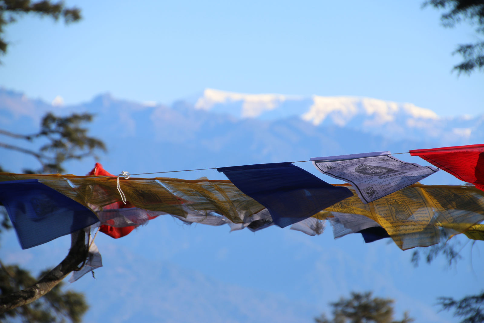 Buddhist prayer flags fluttering with the snow-capped Himalayas in the background