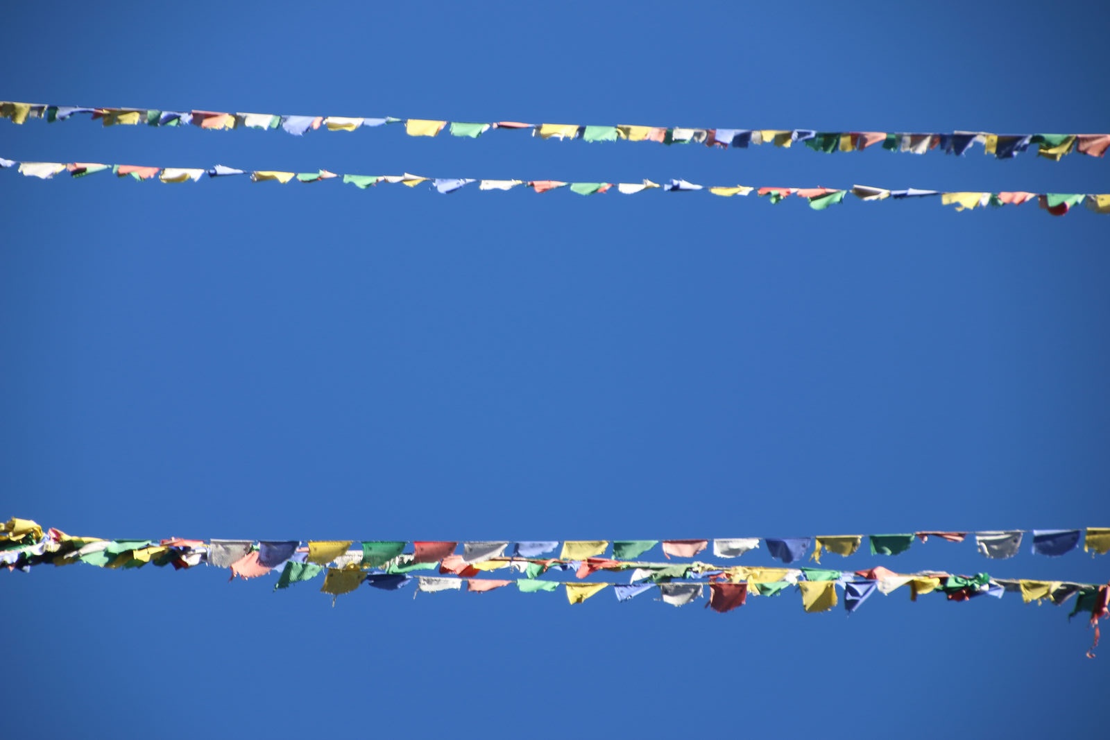 Colorful Buddhist prayer flags fluttering