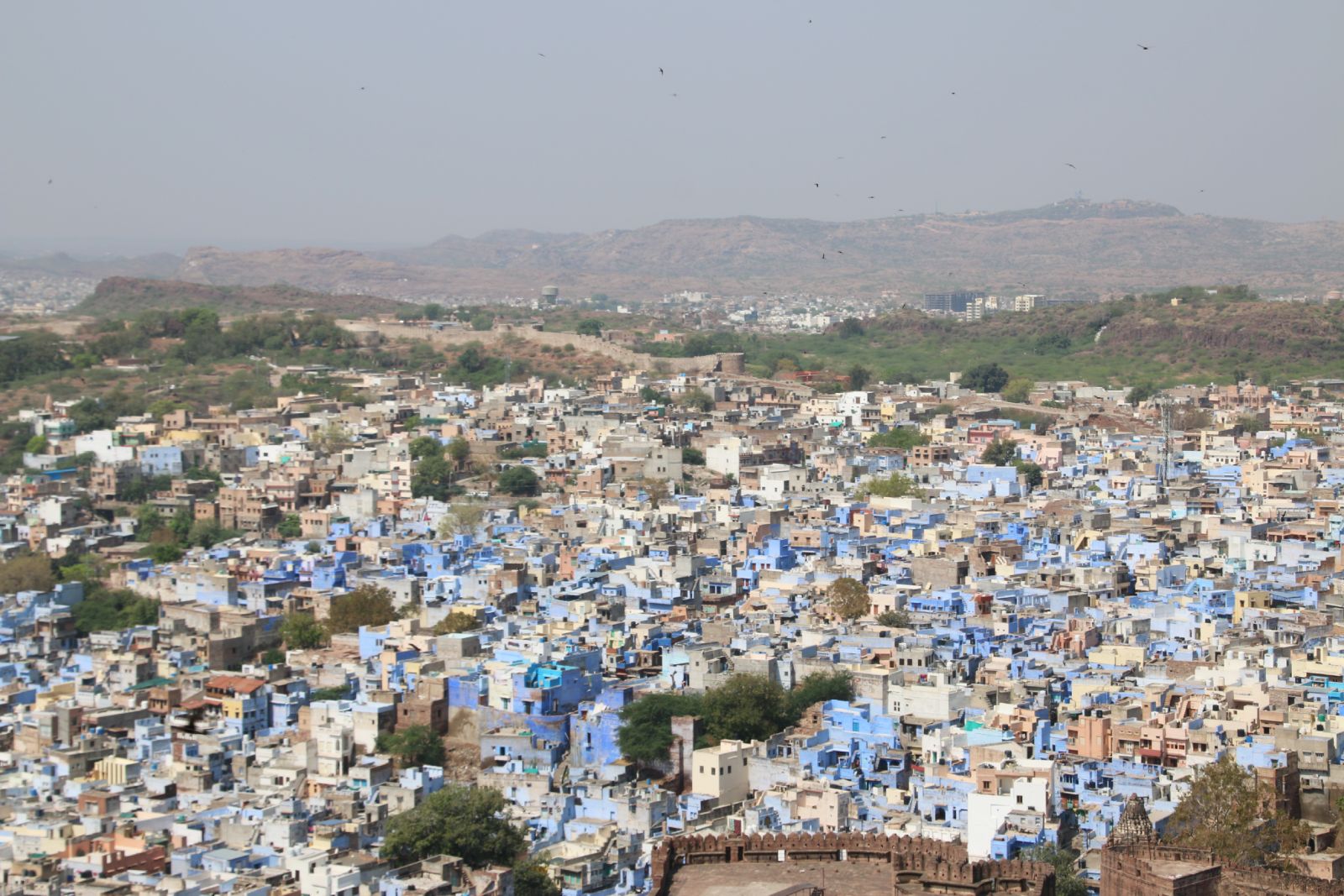 Jodhpur