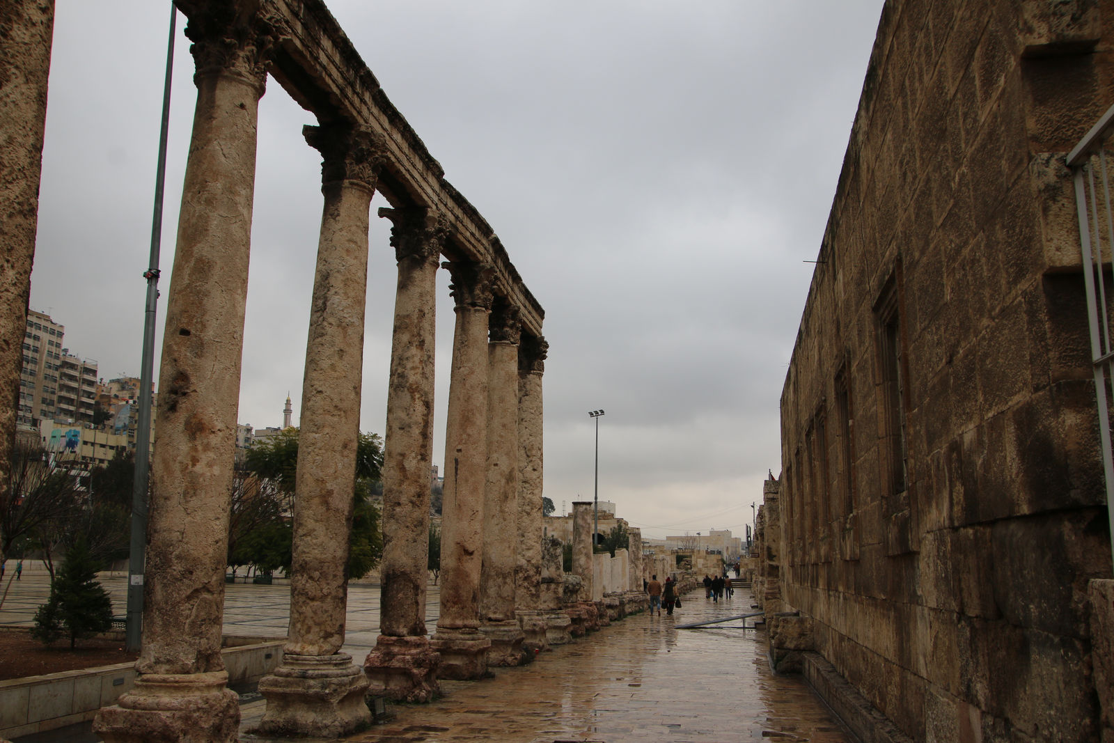 The Roman Forum