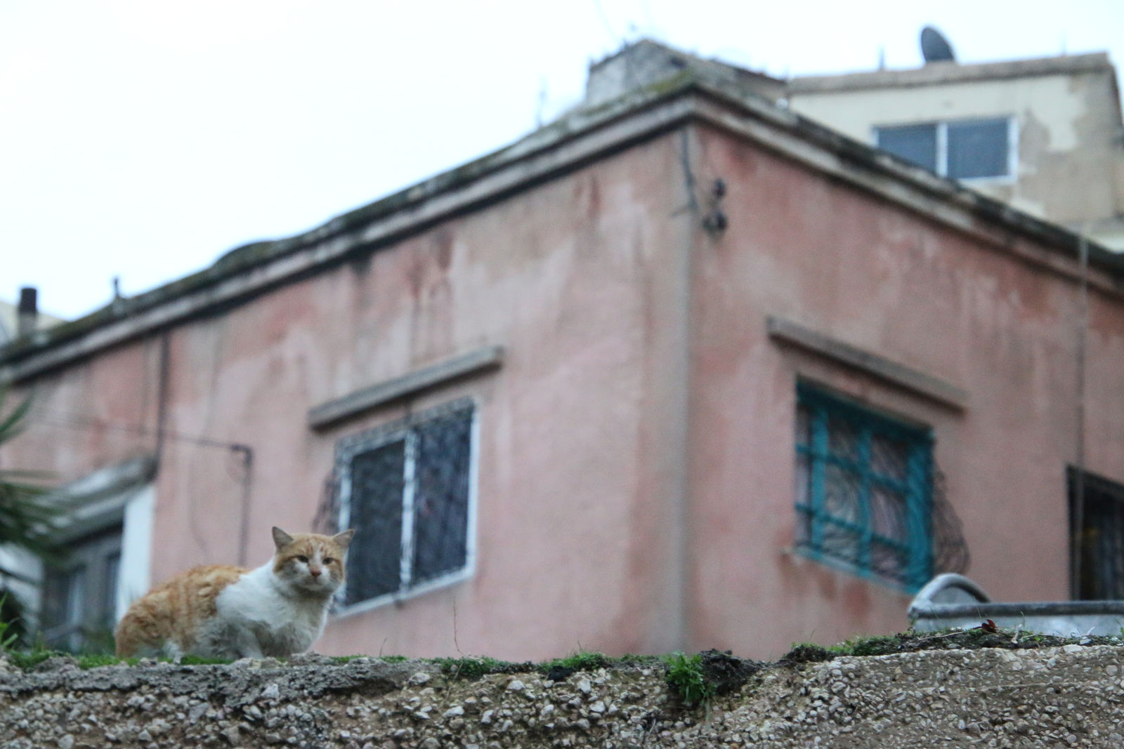 Old Houses of Amman