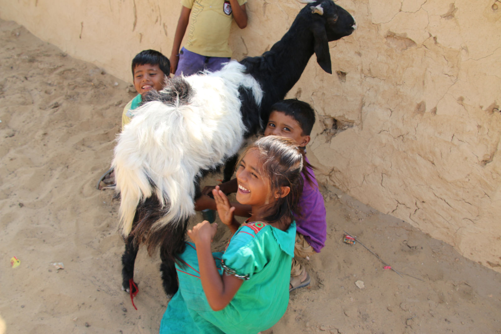 Jaisalmer (Smiling children in a desert village)