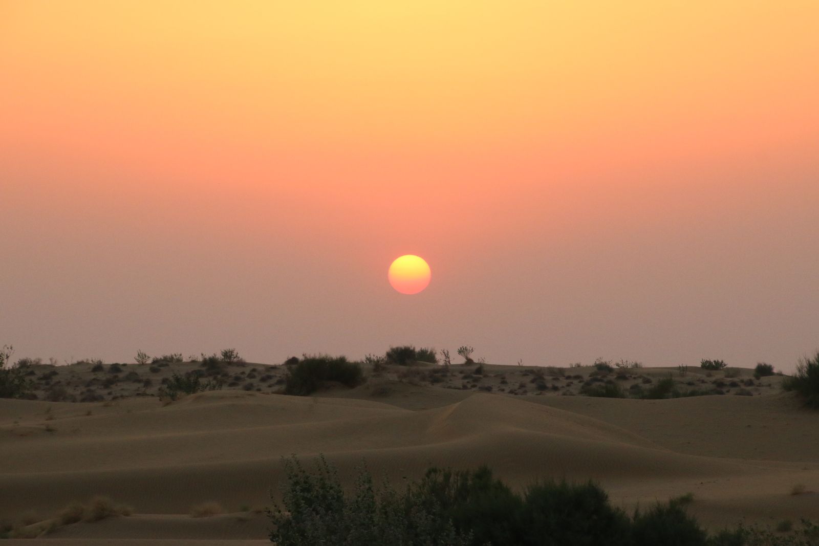 Thar Desert (Sunset over Sand Dunes in Jaisalmer)