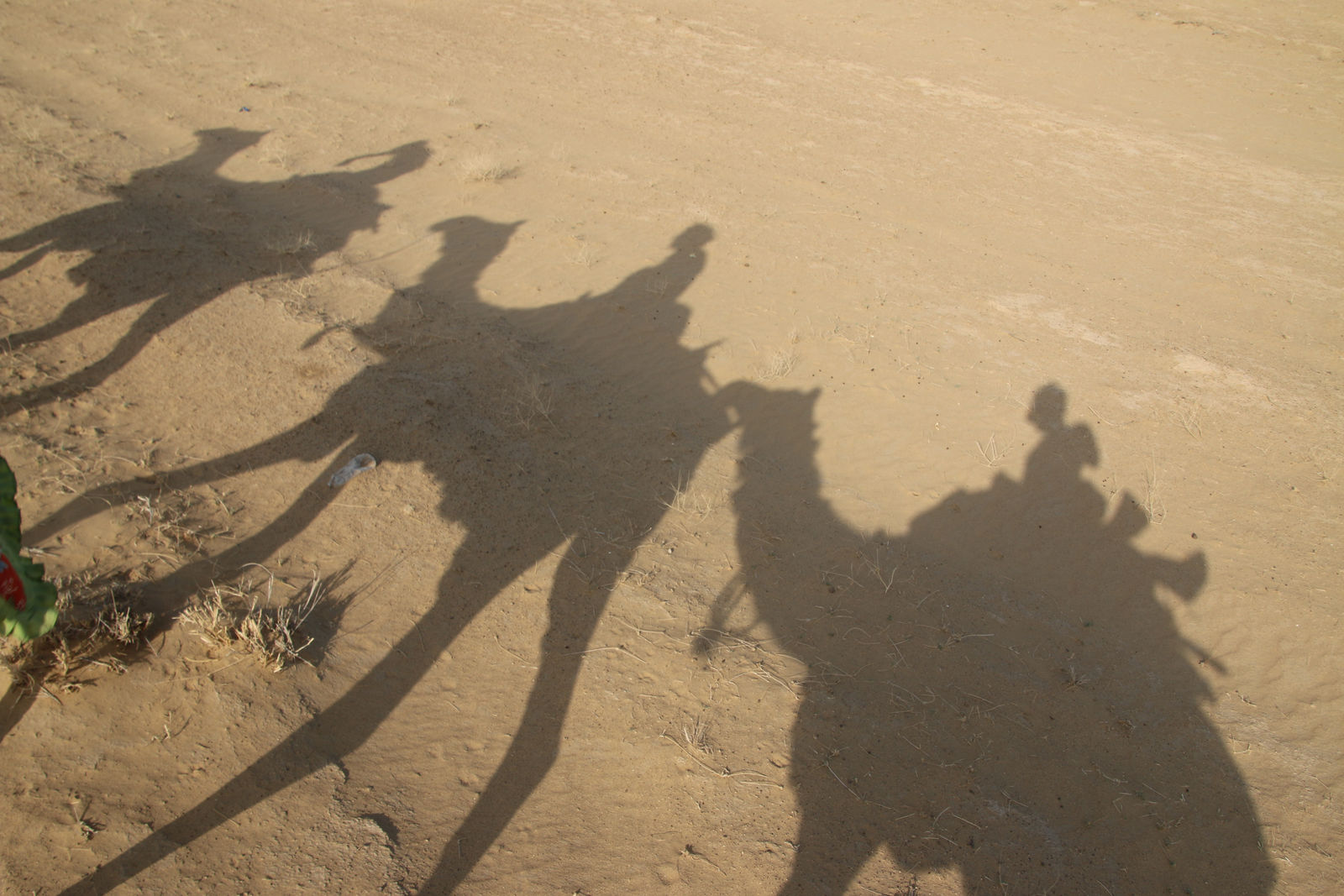Camel Safari shadows on the sand
