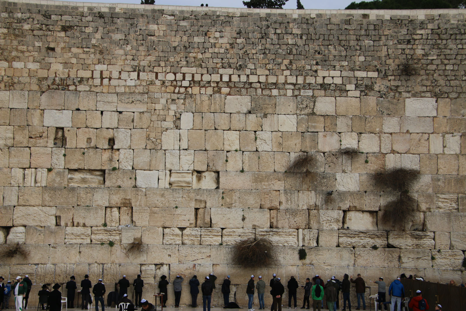 The Western Wall