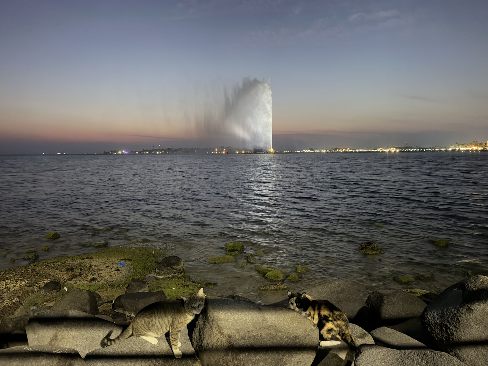 King Fahd's Fountain