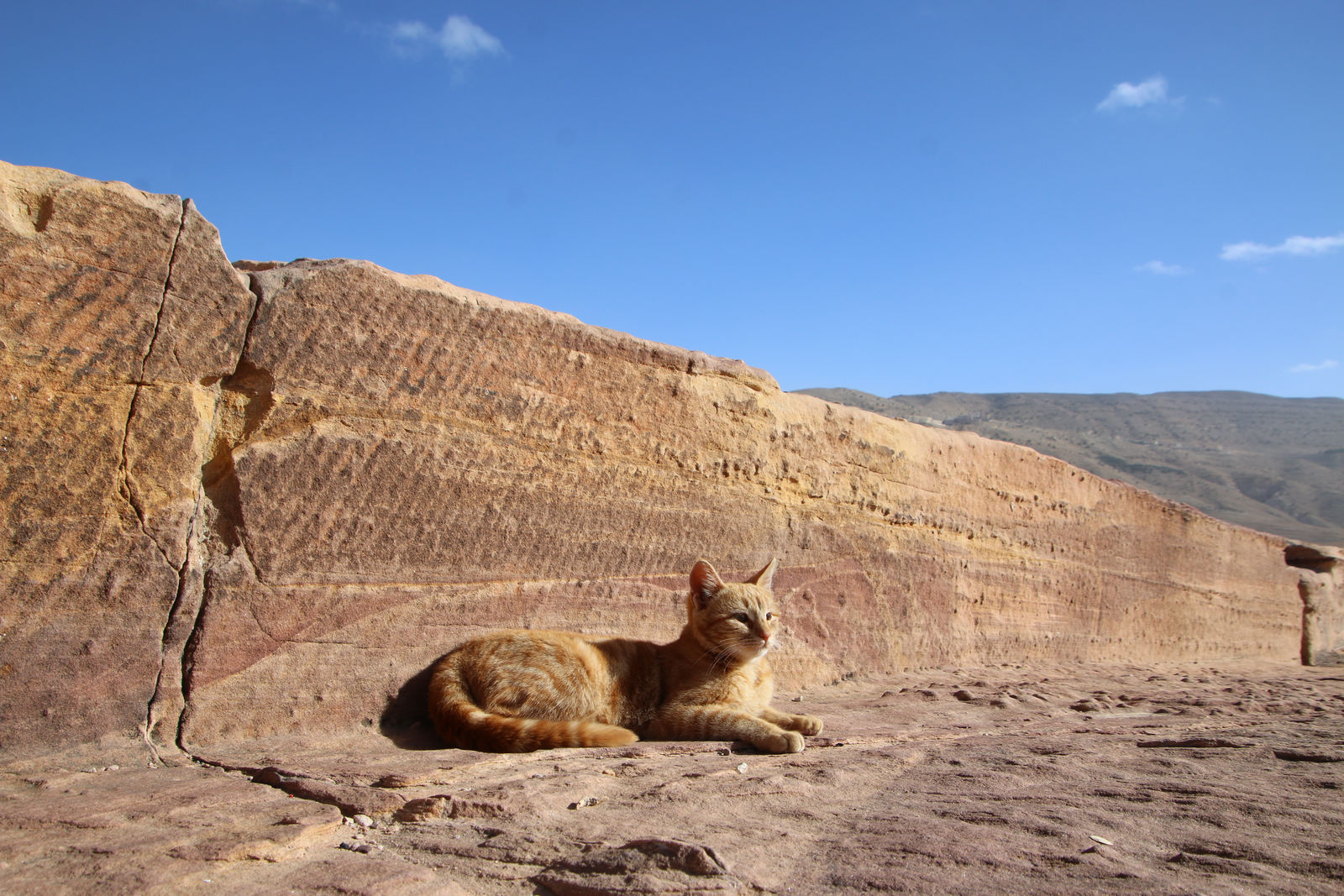 Sunbathing on ancient stones