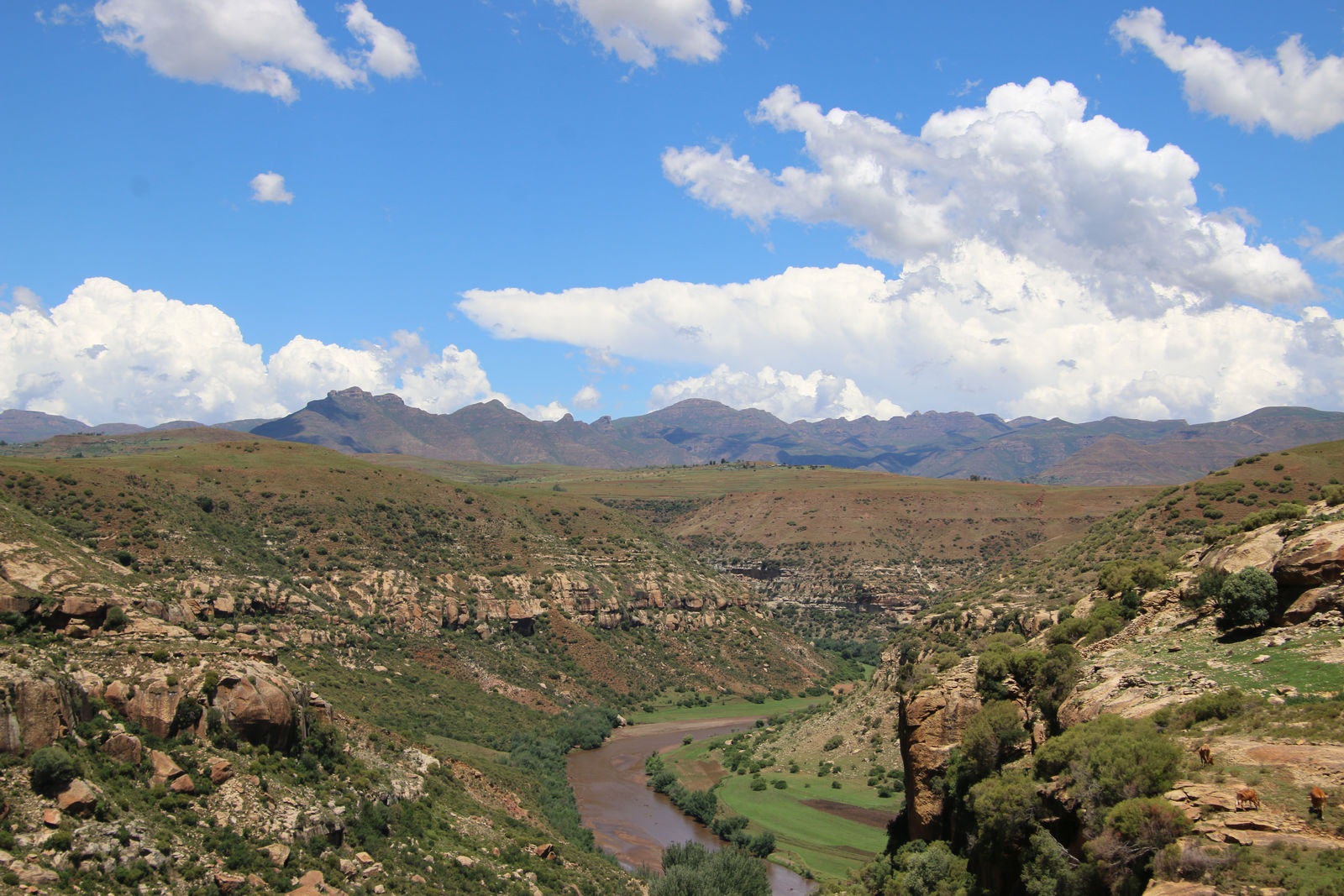 Malealea