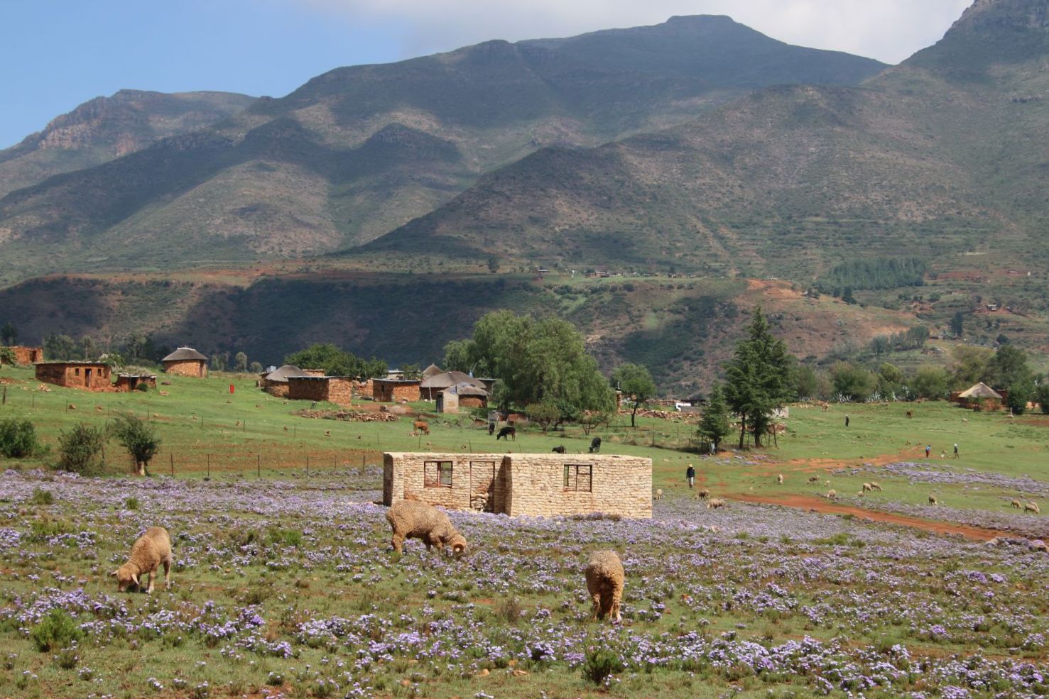 Malealea