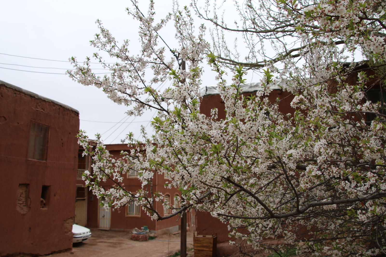 Spring in Abyaneh Village